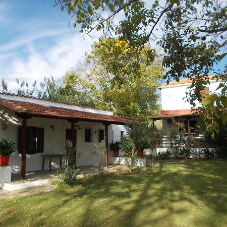 Villa Mina Potistika Dış mekan fotoğraf